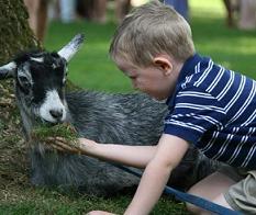 philadelphia petting zoo party